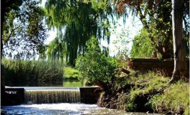 Campo en venta - 39.000.000Mts2 - Lobería