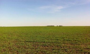 Campo en venta - 39.000.000Mts2 - Lobería