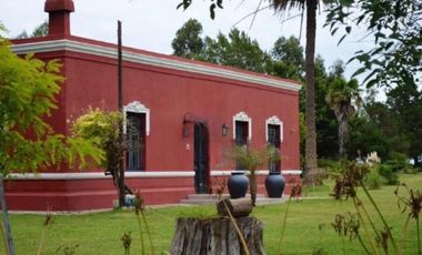 Campo en venta - 39.000.000Mts2 - Lobería