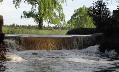 Campo en venta - 39.000.000Mts2 - Lobería