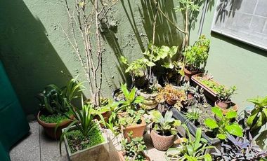 Casa en venta - 3 Dormitorios 2 Baños - 180mts2 - Piñeyro