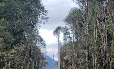VENDO PARCELAS A 20 MINUTOS DE PUERTO MONTT
