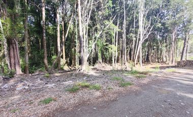 VENDO PARCELAS A 20 MINUTOS DE PUERTO MONTT