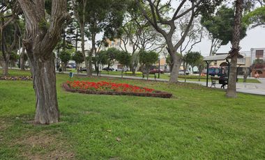 Departamento a la Venta en Surco