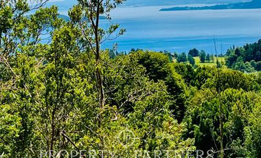Terreno en Lago Ranco