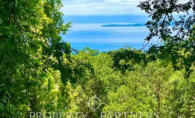 Terreno en Lago Ranco