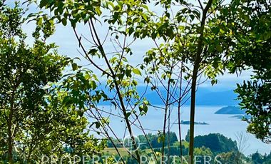 Terreno en Lago Ranco