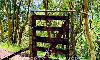 Terreno en Lago Ranco