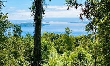 Terreno en Lago Ranco