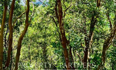 Terreno en Lago Ranco