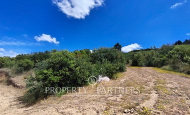 Casa Nueva en Loteo Los Olivos