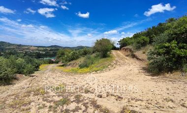 Casa Nueva en Loteo Los Olivos