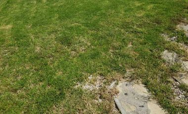 Casa en venta en San Andrés Cuauhtempan, Tlayacapan