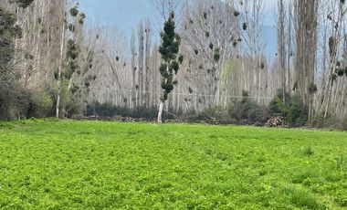 Terreno en Venta, Coltauco Sexta Región