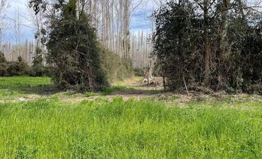 Terreno en Venta, Coltauco Sexta Región