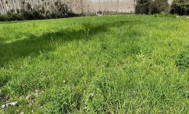 Terreno en Venta, Coltauco Sexta Región