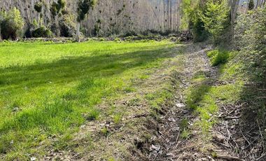 Terreno en Venta, Coltauco Sexta Región