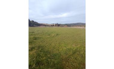 Parcela en venta a minutos de Playa Bucalemu