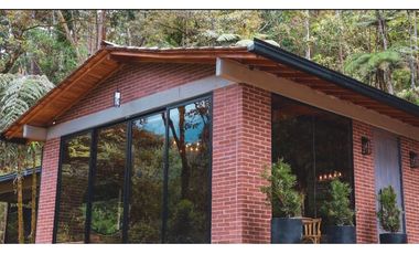 Caldas vereda la miel