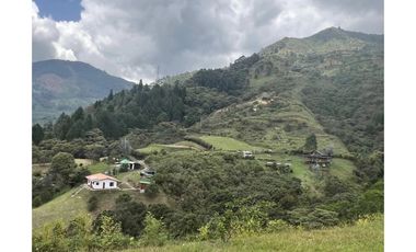 Caldas vereda la miel