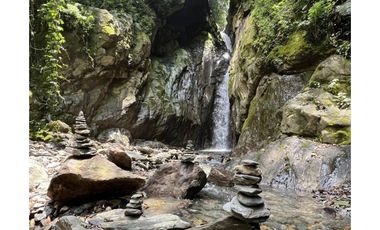 Caldas vereda la miel