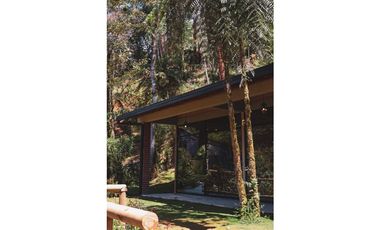 Caldas vereda la miel