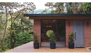 Caldas vereda la miel