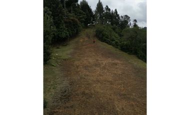 LOTE EN PARCELACIÓN CON UNA DE LAS MEJORES VISTAS HACIA BOSQUE