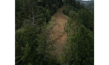 LOTE EN PARCELACIÓN CON UNA DE LAS MEJORES VISTAS HACIA BOSQUE