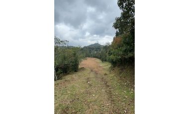 LOTE EN PARCELACIÓN CON UNA DE LAS MEJORES VISTAS HACIA BOSQUE