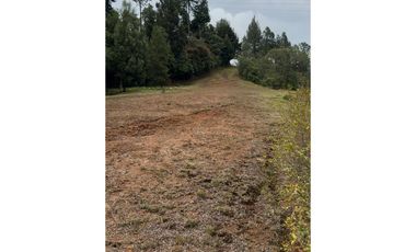 LOTE EN PARCELACIÓN CON UNA DE LAS MEJORES VISTAS HACIA BOSQUE