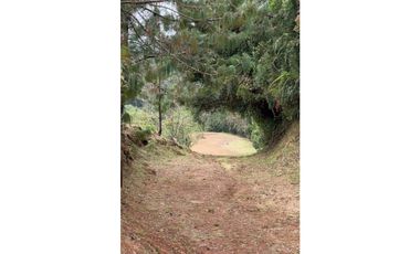 LOTE EN PARCELACIÓN CON UNA DE LAS MEJORES VISTAS HACIA BOSQUE