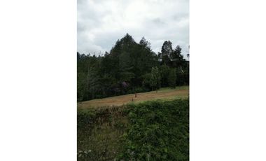 LOTE EN PARCELACIÓN CON UNA DE LAS MEJORES VISTAS HACIA BOSQUE