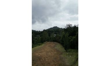 LOTE EN PARCELACIÓN CON UNA DE LAS MEJORES VISTAS HACIA BOSQUE