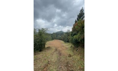 LOTE EN PARCELACIÓN CON UNA DE LAS MEJORES VISTAS HACIA BOSQUE