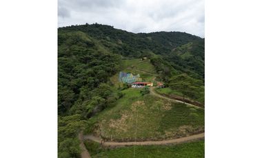 En Venta FINCA Villavicencio (VEREDA LOURDES)