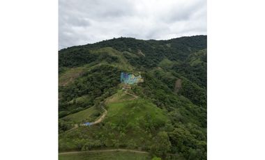 En Venta FINCA Villavicencio (VEREDA LOURDES)