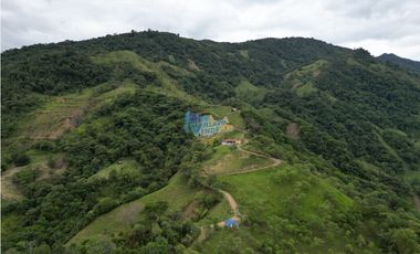 En Venta FINCA Villavicencio (VEREDA LOURDES)