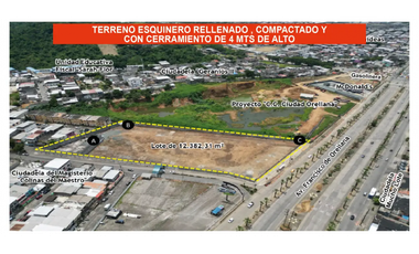 Terreno Comercial de 12.382 M² Av. Francisco de Orellana, Guayaquil.