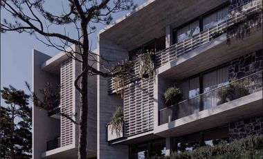 VENDO DEPARTAMENTOS EN CARRETERA BRIONES - COATEPEC