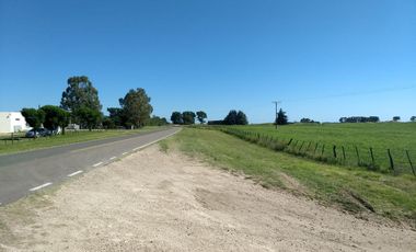 Terrenos en venta - 4700mts2 - Rolon