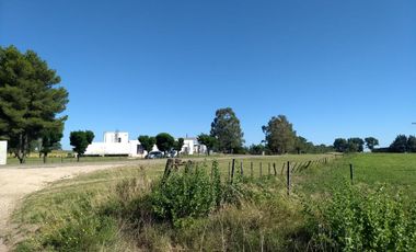Terrenos en venta - 4700mts2 - Rolon