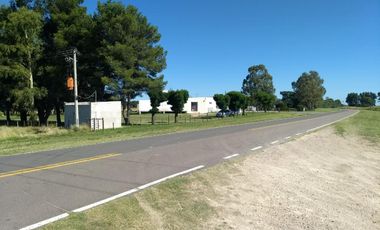 Terrenos en venta - 4700mts2 - Rolon