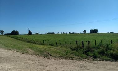 Terrenos en venta - 4700mts2 - Rolon