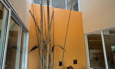 Casa en venta - 4 Dormitorios 3 Baños - Cochera - 1608Mts2 - Villa Elisa