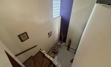 Casa en venta - 4 Dormitorios 3 Baños - Cochera - 1608Mts2 - Villa Elisa