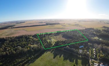 Terreno en venta en General Alvarado