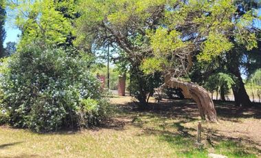 Casa en venta - 2 Dormitorios 2 Baños - 1.332 Mts2 - Arturo Seguí