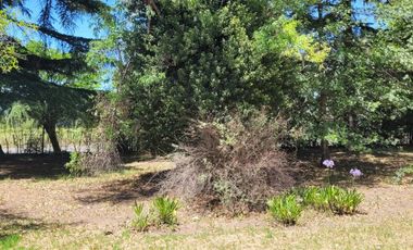 Casa en venta - 2 Dormitorios 2 Baños - 1.332 Mts2 - Arturo Seguí