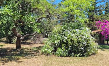 Casa en venta - 2 Dormitorios 2 Baños - 1.332 Mts2 - Arturo Seguí